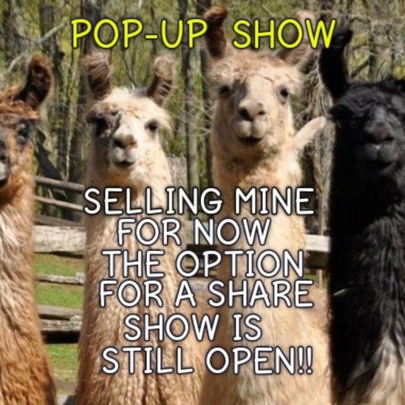 Like This Listing To Be Notified When I Go Live! Read Show Rules - Picture 4 of 15